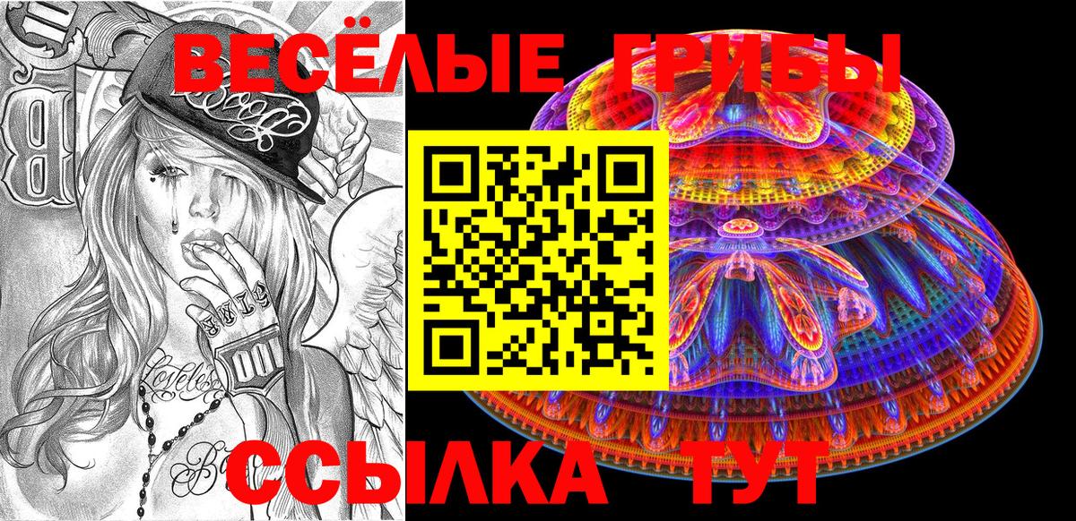 Лесной  Псилоцибиновые грибы GOLDEN TEACHER  Вход с VPN 