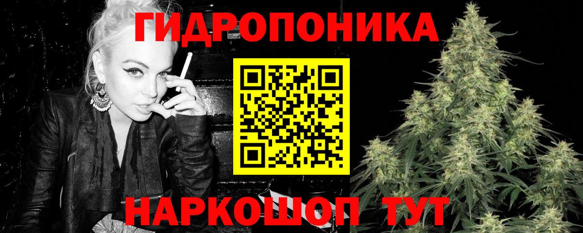 Бошки Шишки гибрид Лесной
